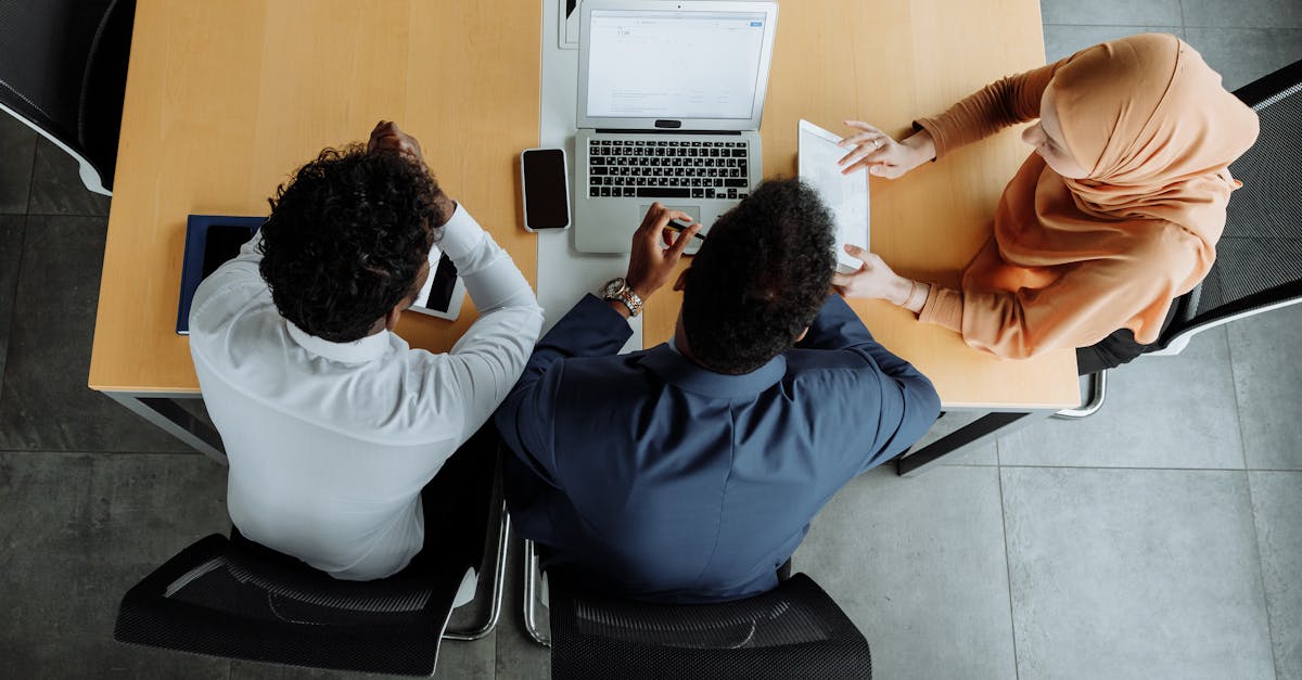 cc网页端|湖州书画购买平台